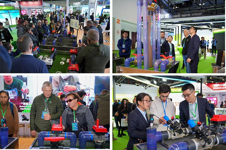 1755050644777611.jpg 501.jpg