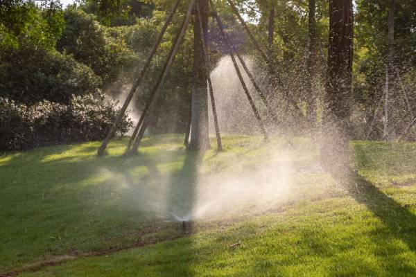 1662614940812318.jpg 401.jpg