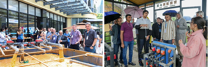 1730698418182004.jpg 301.jpg